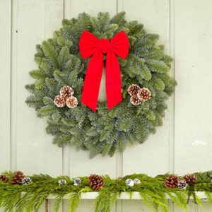 22" Noble Fir Wreath - $25.00