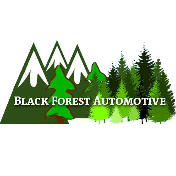 Black Forest Automotive V12